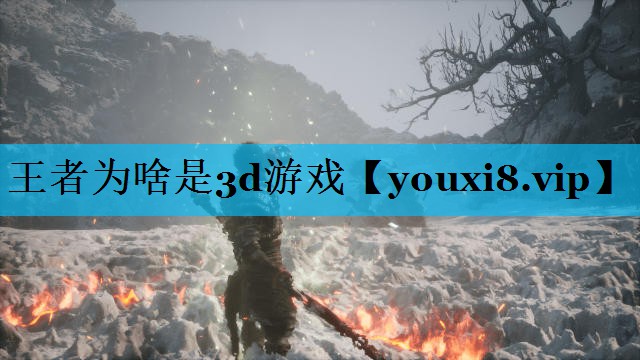 王者为啥是3d游戏
